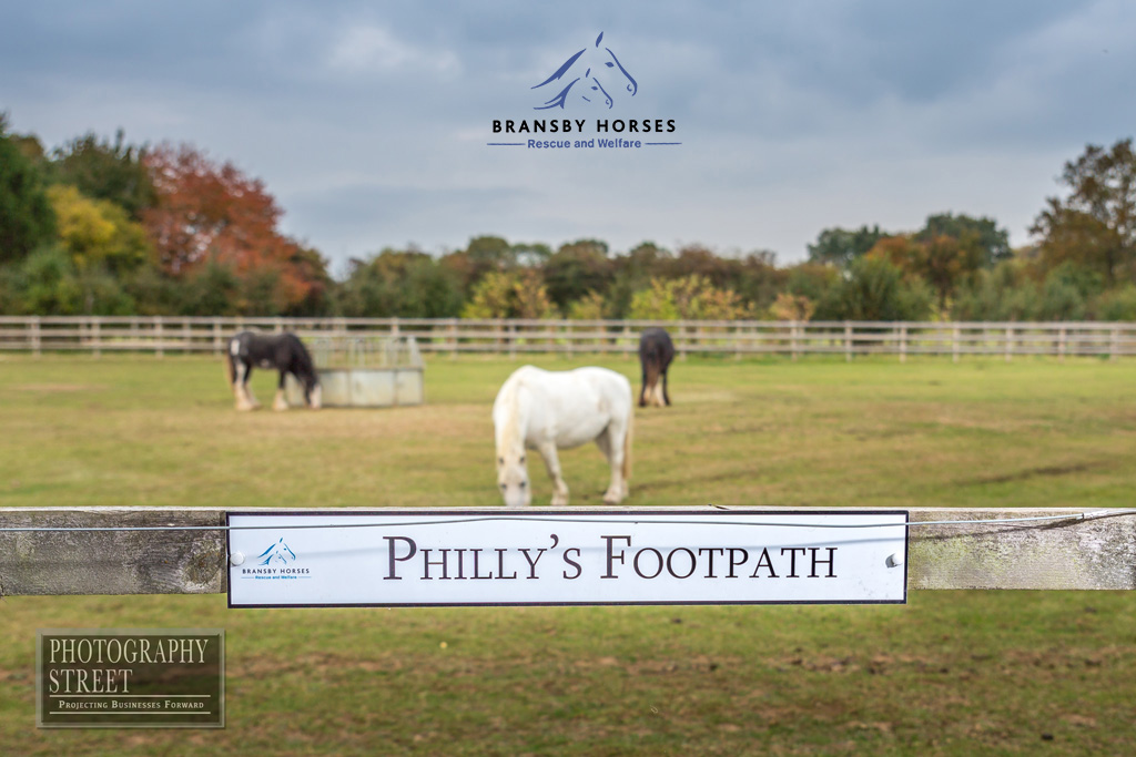 Philly's Footpath at Bransby Horses