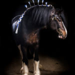 Bon Jovi full length