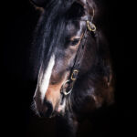 Bon Jovi Headshot