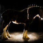 Bon Jovi silhouetted by the morning sunshine as the day's work begins...