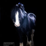 Oboe's showing off his lines.