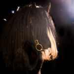 Sunshine through the barn skylight.