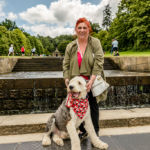 Old English Sheepdog Walk