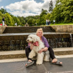 Old English Sheepdog Walk