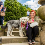 Old English Sheepdog Walk