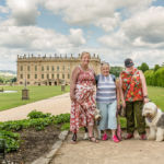Old English Sheepdog Walk