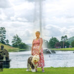 Old English Sheepdog Walk