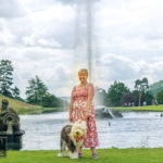 Old English Sheepdog Walk