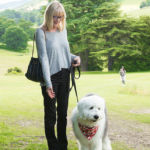 Old English Sheepdog Walk