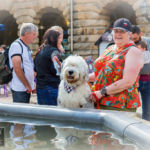 Old English Sheepdog Walk