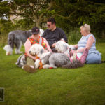 Old English Sheepdog Walk
