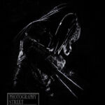 Predator Poster B/W